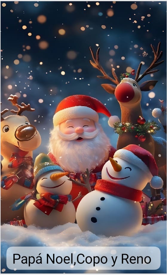 FUNDAS NAVIDEÑAS PARA PUERTAS 2026 LIQUIDACION