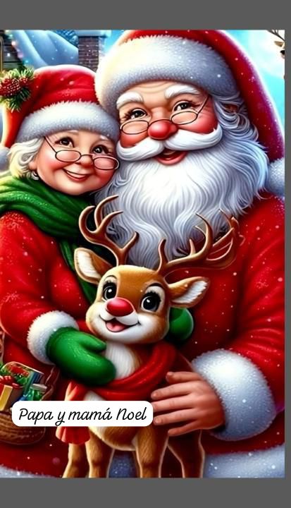 FUNDAS NAVIDEÑAS PARA PUERTAS 2026 LIQUIDACION