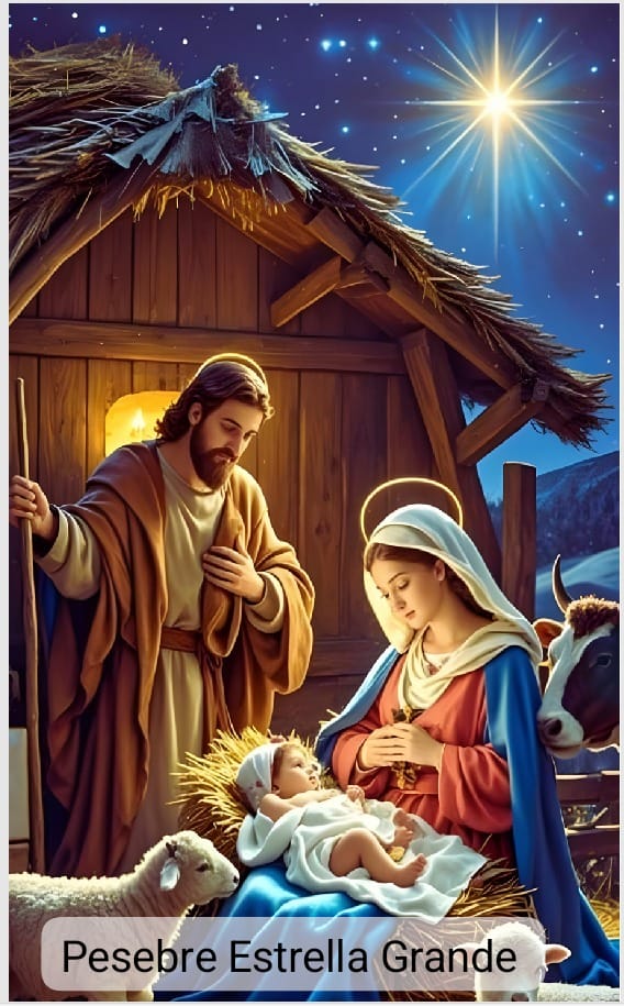 FUNDAS NAVIDEÑAS PARA PUERTAS 2026 LIQUIDACION