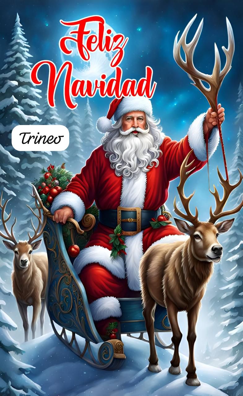 FUNDAS NAVIDEÑAS PARA PUERTAS 2026 LIQUIDACION