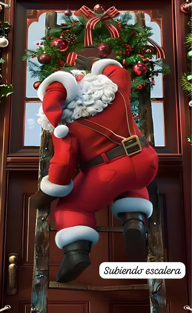 FUNDAS NAVIDEÑAS PARA PUERTAS 2026 LIQUIDACION